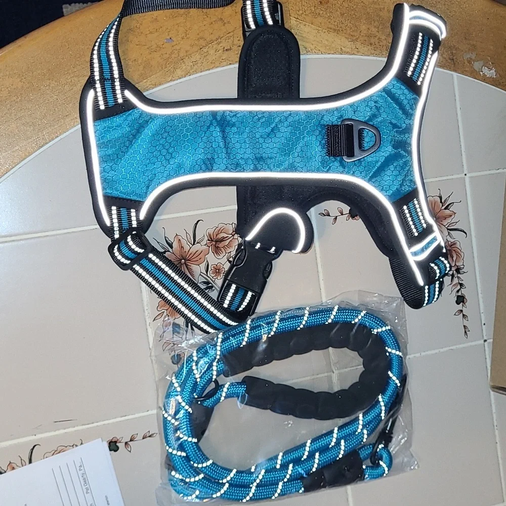 Brand new dog harness with matching leash. SIZE LARGE.